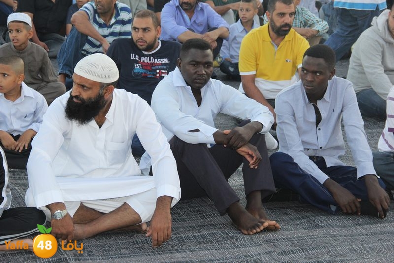 3eed ludj1 (102).JPG